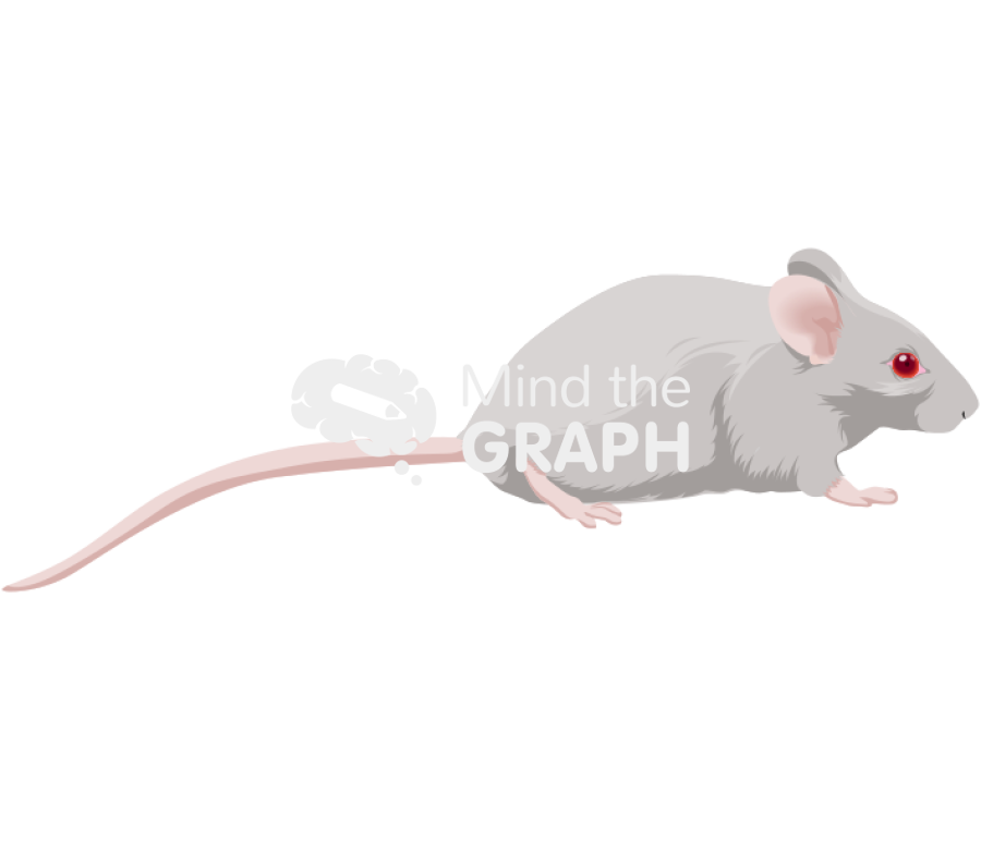 Dba 2 Icons, Symbols, Pictures, and Images