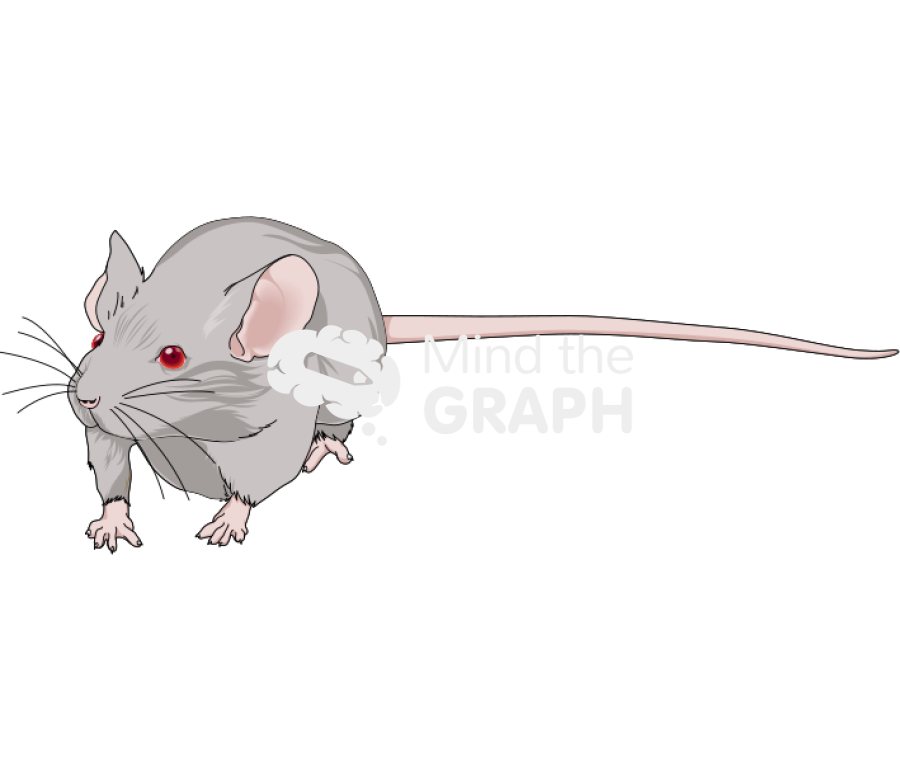 Dba 4 Icons, Symbols, Pictures, and Images