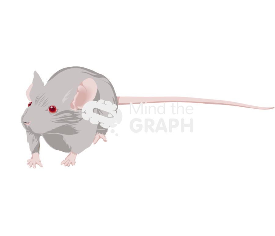 Dba 4 Icons, Symbols, Pictures, and Images