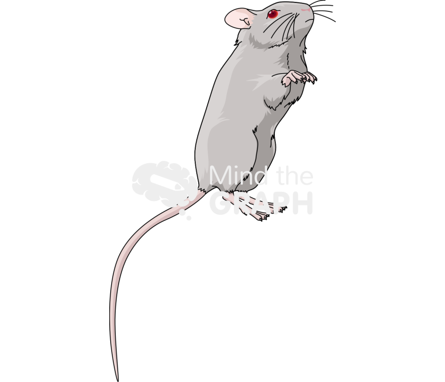 Dba 6 Icons, Symbols, Pictures, and Images