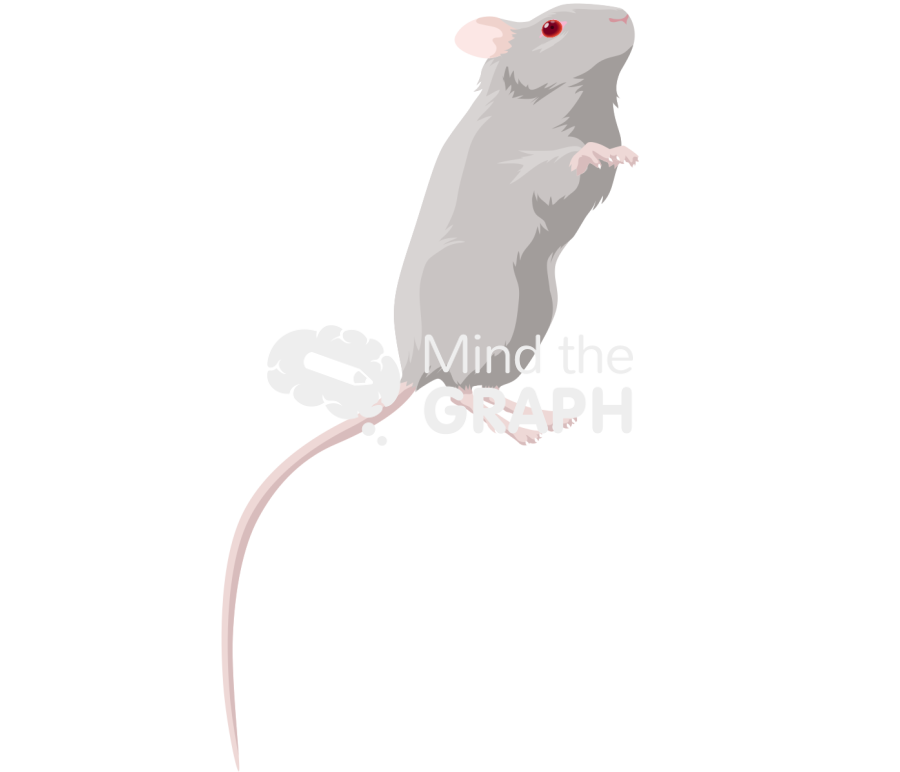 Dba 6 Icons, Symbols, Pictures, and Images