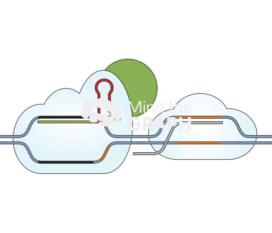 Dead cas9 activation Icons, Symbols, Pictures, and Images