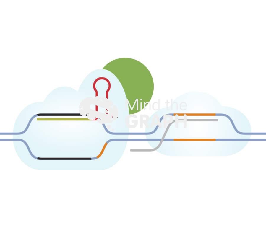 Dead cas9 activation Icons, Symbols, Pictures, and Images