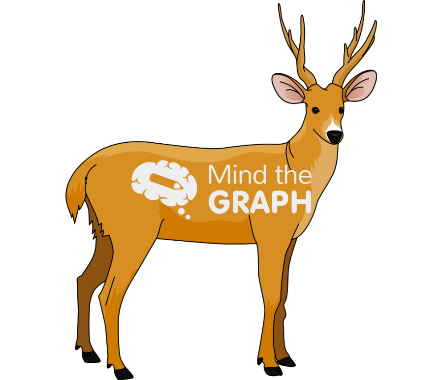 Deer Icons, Symbols, Pictures, and Images