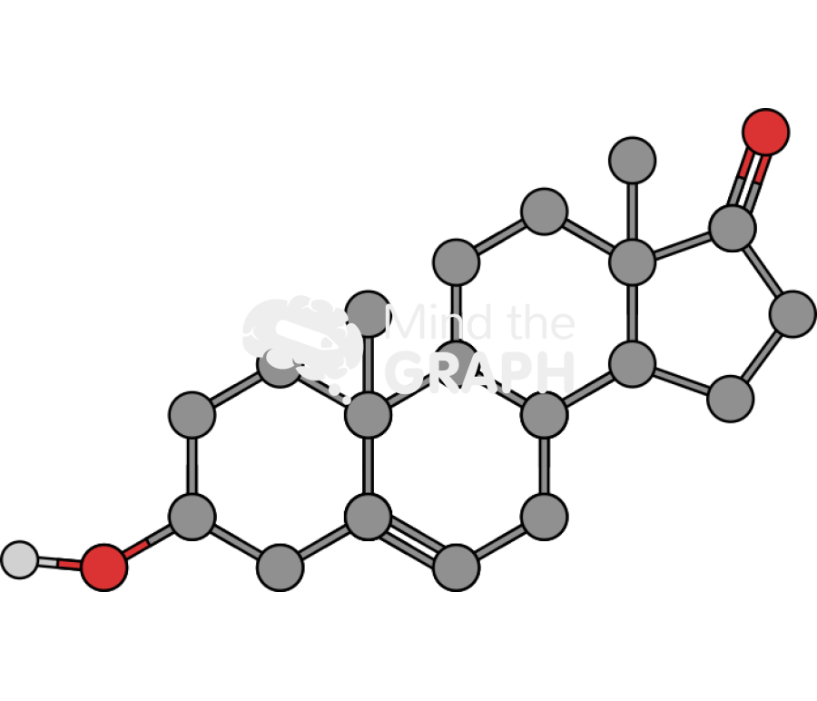 Dehydroepiandrosterone dhea Icons, Symbols, Pictures, and Images