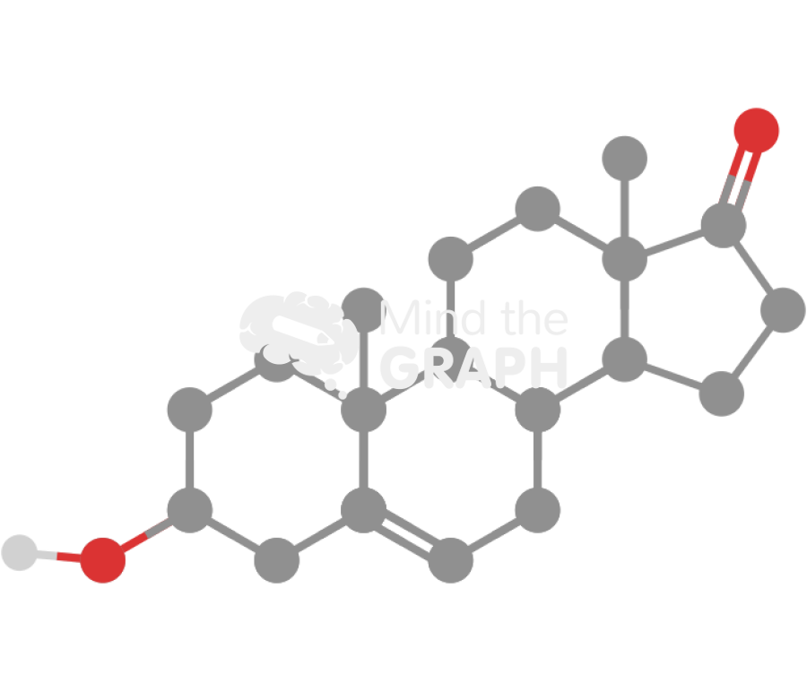 Dehydroepiandrosterone dhea Icons, Symbols, Pictures, and Images