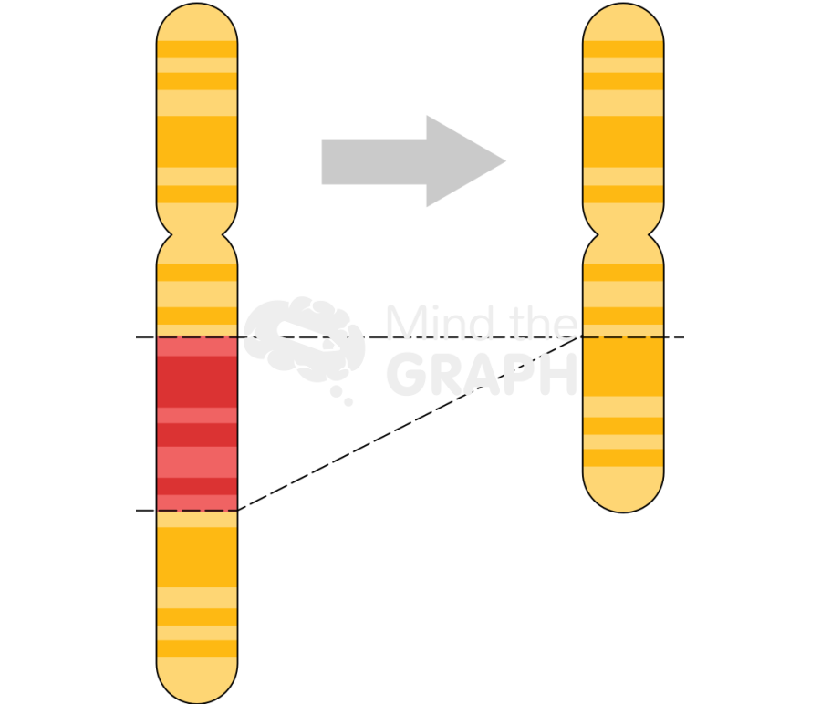 Deletion Icons, Symbols, Pictures, and Images