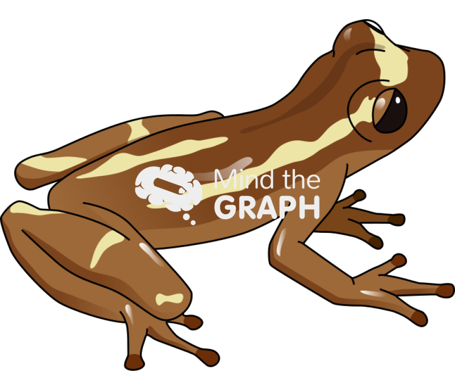 Dendropsophus bromeliaceus Icons, Symbols, Pictures, and Images