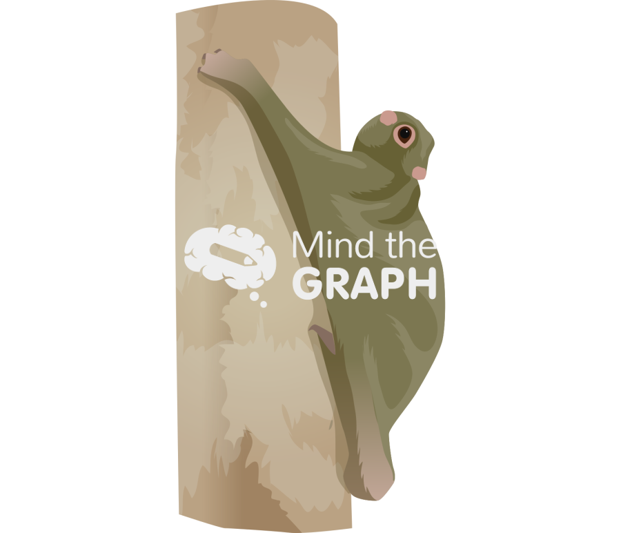 Dermoptera Icons, Symbols, Pictures, and Images