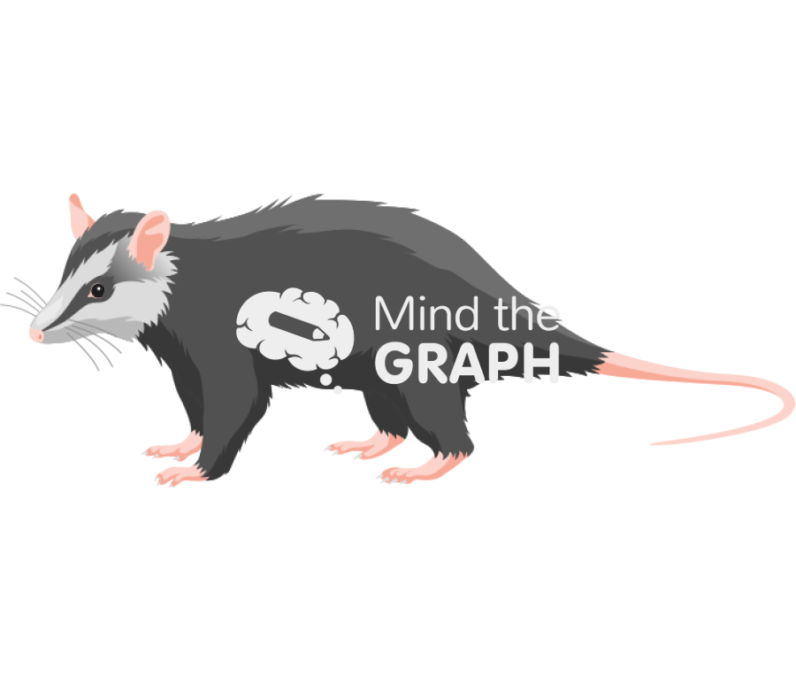 Didelphidae Icons, Symbols, Pictures, and Images