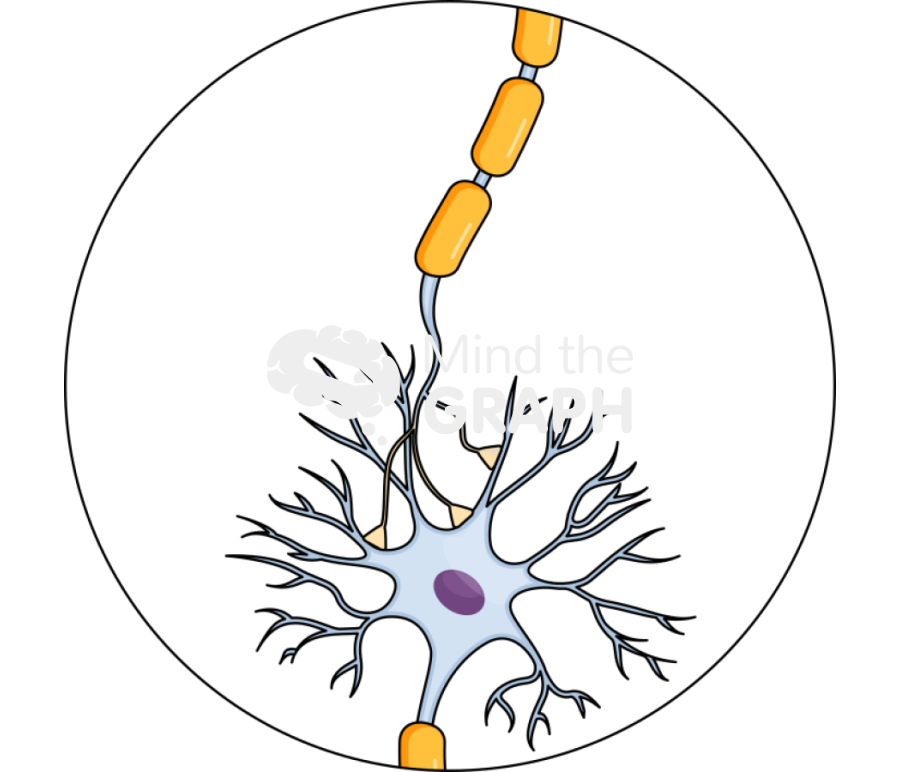 Diffuse axonal injury normal axon Icons, Symbols, Pictures, and Images