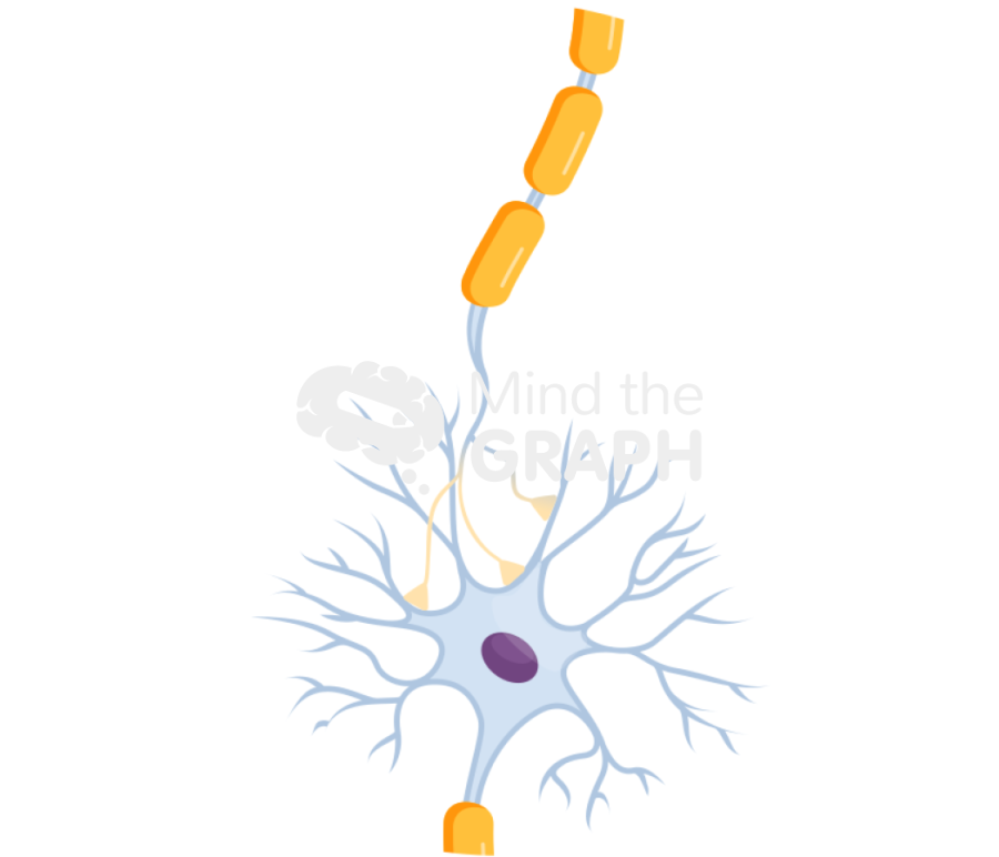 Diffuse axonal injury normal axon Icons, Symbols, Pictures, and Images