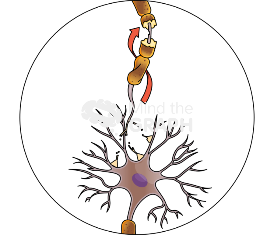 Diffuse axonal injury post trauma condition Icons, Symbols, Pictures, and Images