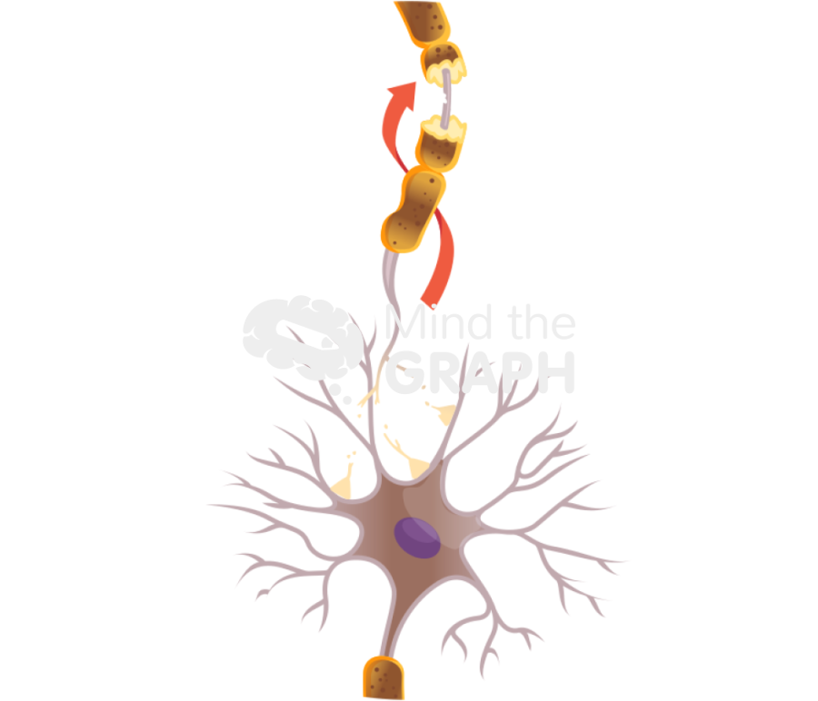 Diffuse axonal injury post trauma condition Icons, Symbols, Pictures, and Images
