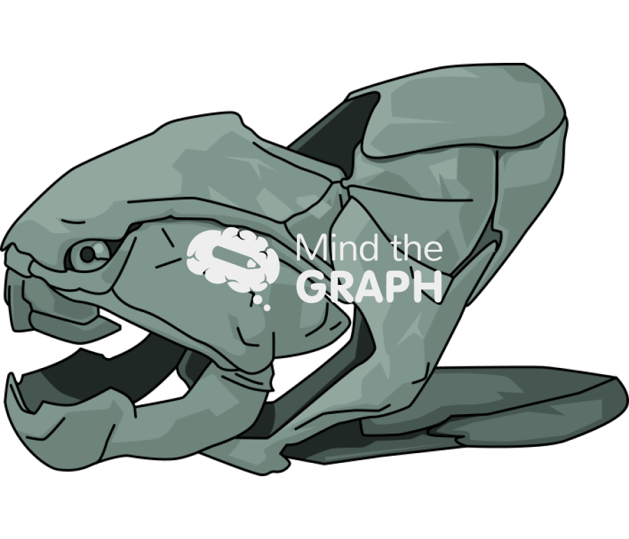 Dinichthys fossil lateral Icons, Symbols, Pictures, and Images