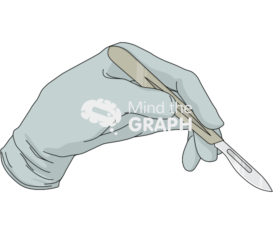 Dissection Icons, Symbols, Pictures, and Images