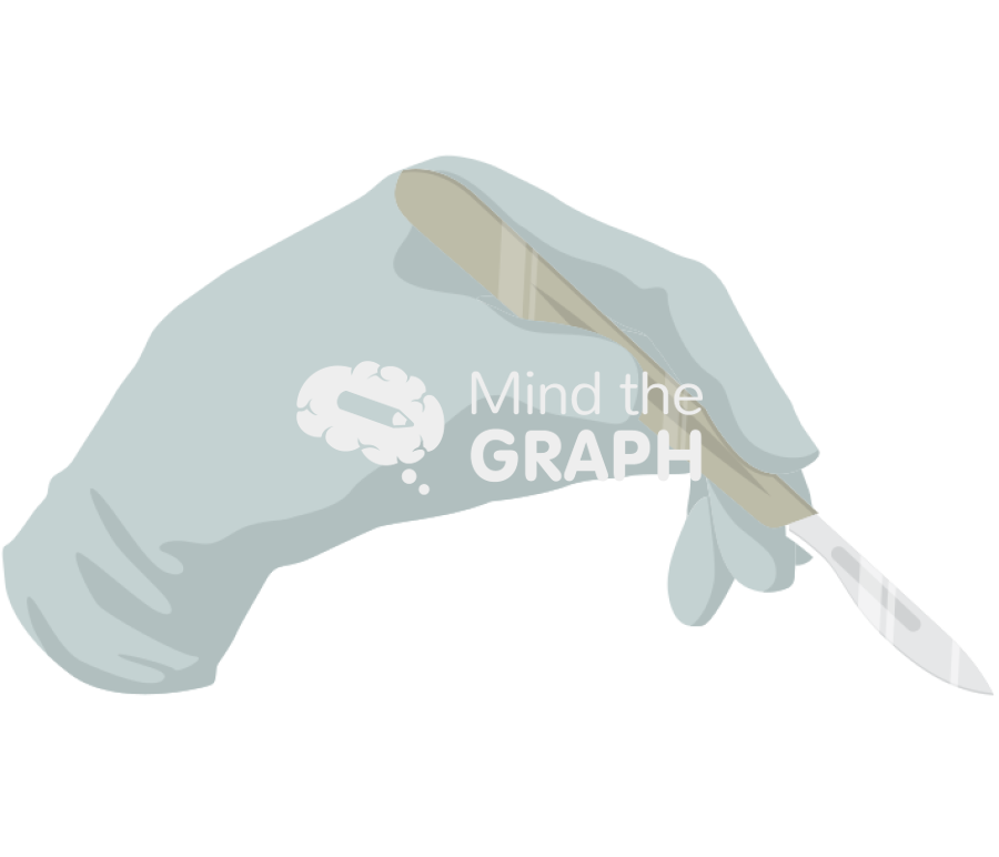 Dissection Icons, Symbols, Pictures, and Images