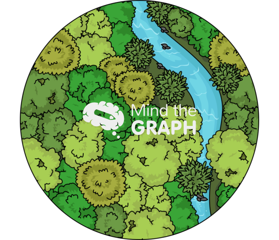 Diverse trees zoom Icons, Symbols, Pictures, and Images