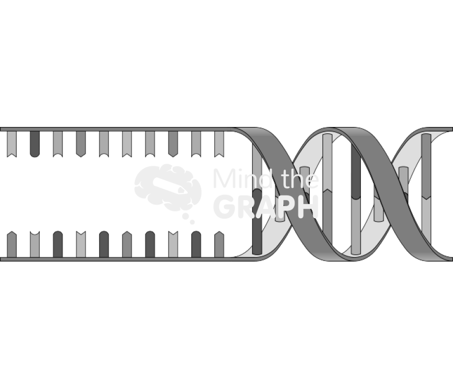 Dna 2 Icons, Symbols, Pictures, and Images