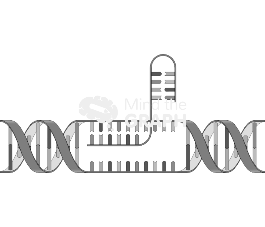 Dna cut 1 Icons, Symbols, Pictures, and Images