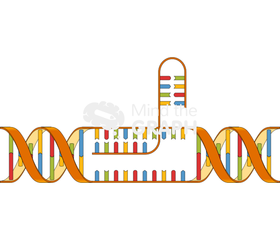 Dna cut 1 Icons, Symbols, Pictures, and Images