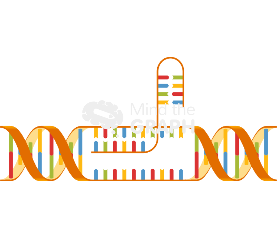 Dna cut 1 Icons, Symbols, Pictures, and Images