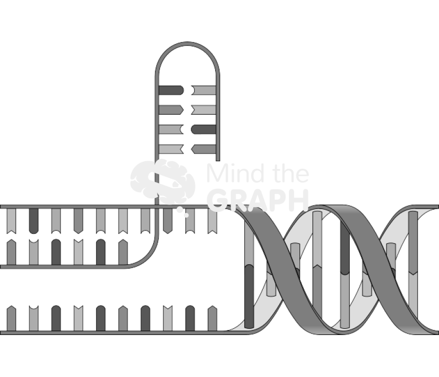 Dna cut 2 Icons, Symbols, Pictures, and Images