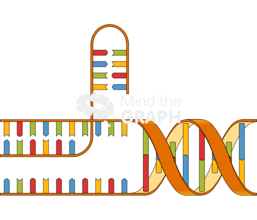 Dna cut 2 Icons, Symbols, Pictures, and Images