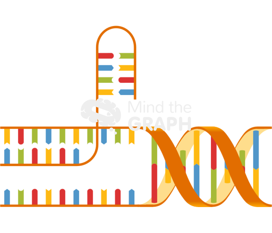 Dna cut 2 Icons, Symbols, Pictures, and Images