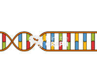 Dna double helix module normal opened Icons, Symbols, Pictures, and Images