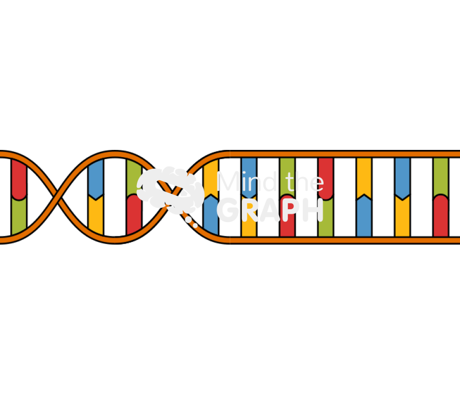 Dna double helix module normal opened Icons, Symbols, Pictures, and Images