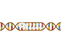 Dna double helix module normal opened ligation Icons, Symbols, Pictures, and Images