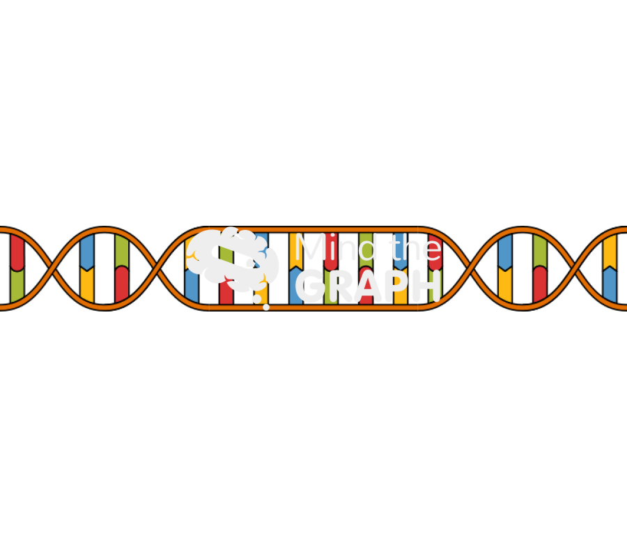 Dna double helix module normal opened ligation Icons, Symbols, Pictures, and Images