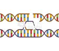 Dna double helix recombination Icons, Symbols, Pictures, and Images