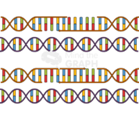 Dna homologous recombination 4 Icons, Symbols, Pictures, and Images