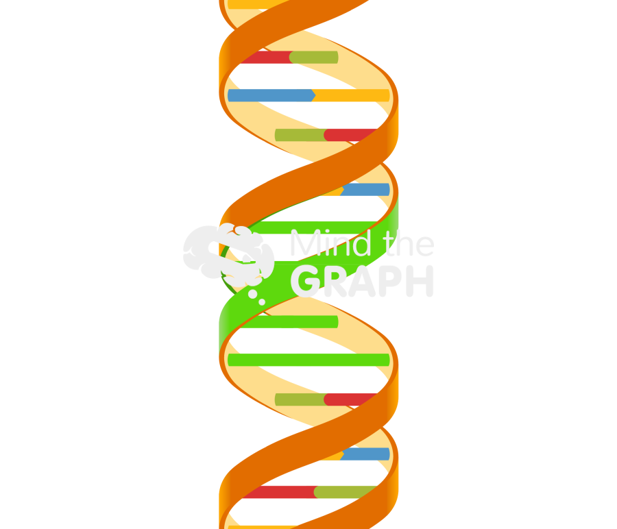 Dna major groove Icons, Symbols, Pictures, and Images