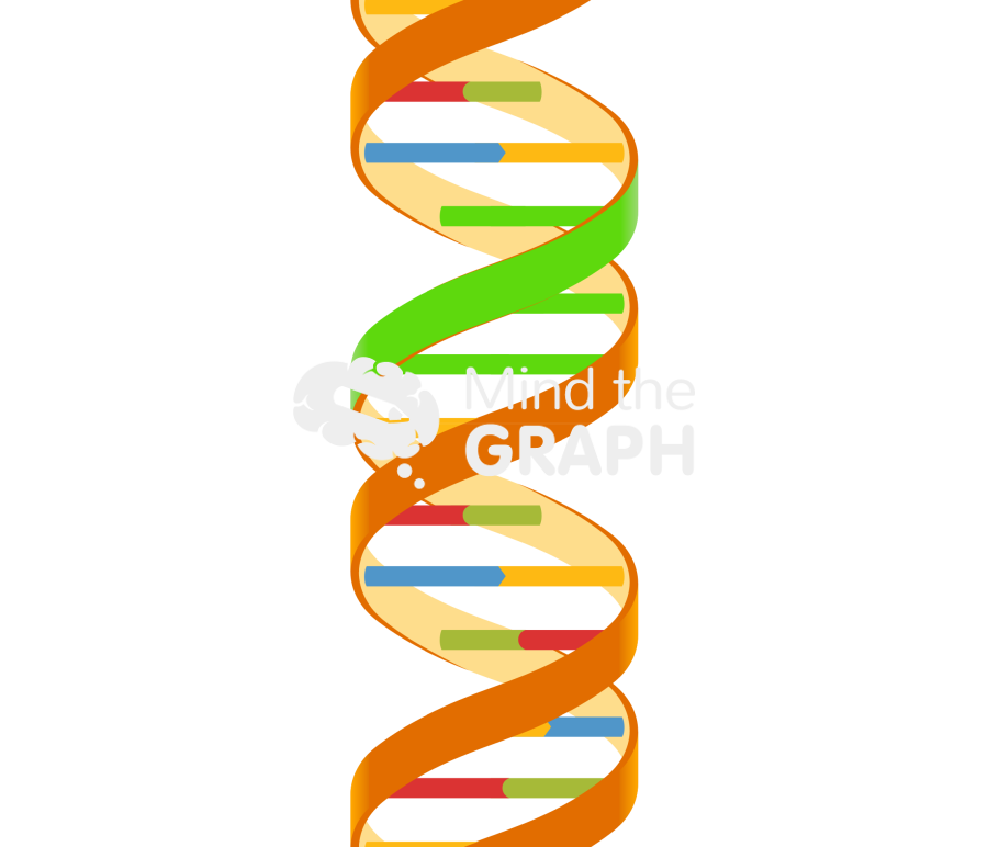 Dna minor groove Icons, Symbols, Pictures, and Images