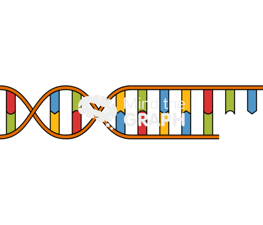 Dna recognition 1 Icons, Symbols, Pictures, and Images