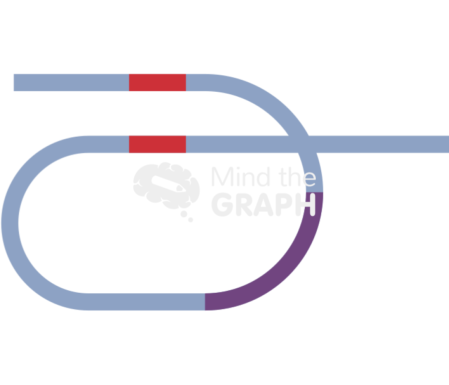 Dna recombination repeats 1 Icons, Symbols, Pictures, and Images