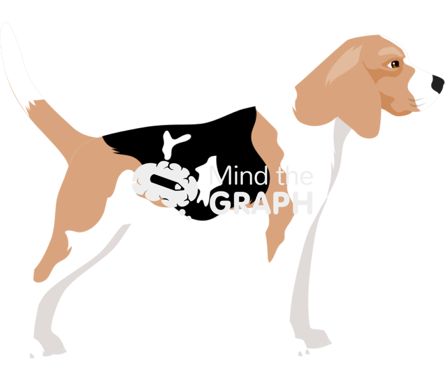 Dog beagle alert lateral Icons, Symbols, Pictures, and Images