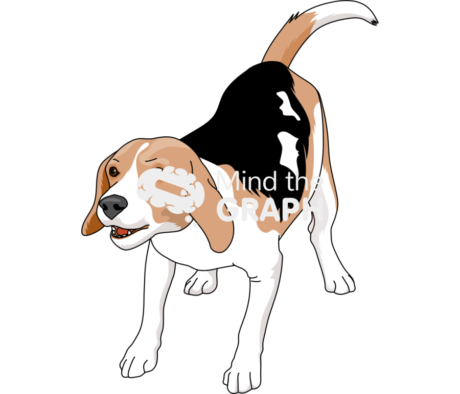 Dog beagle lips curled showing teeth Icons, Symbols, Pictures, and Images