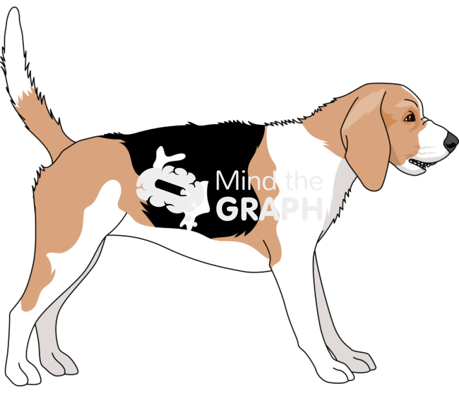 Dog beagle stiffened body fur bristled Icons, Symbols, Pictures, and Images