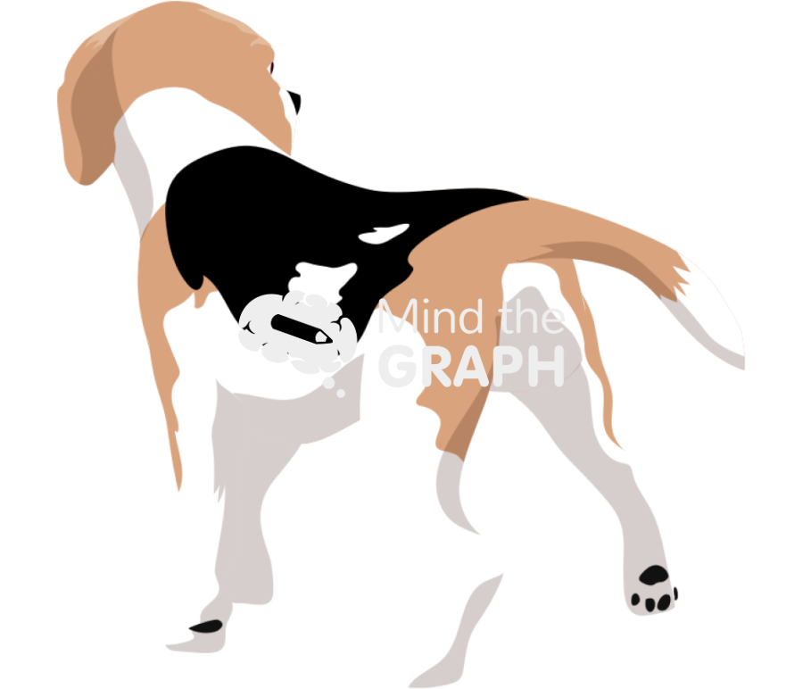 Dog beagle walking back Icons, Symbols, Pictures, and Images