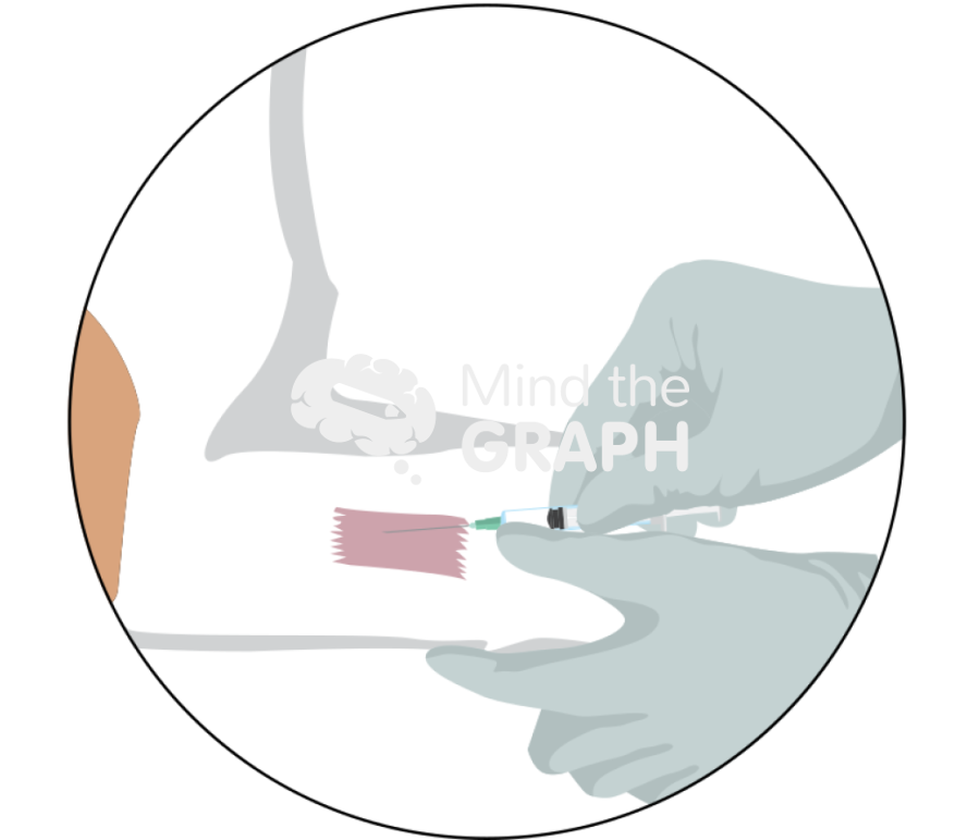 Dog cephalic catheter placement zoom 2 Icons, Symbols, Pictures, and Images