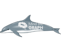Dolphin Icons, Symbols, Pictures, and Images