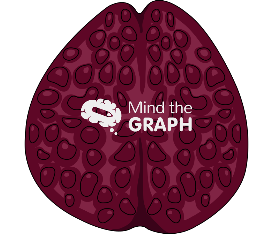 Dolphin kidney interior Icons, Symbols, Pictures, and Images