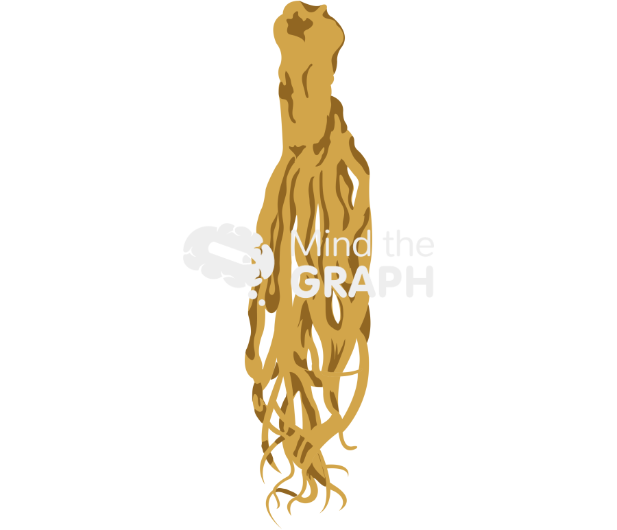 Dong quai angelica sinensis Icons, Symbols, Pictures, and Images