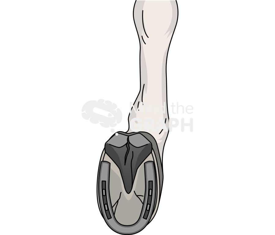 Donkey foot horseshoe right Icons, Symbols, Pictures, and Images