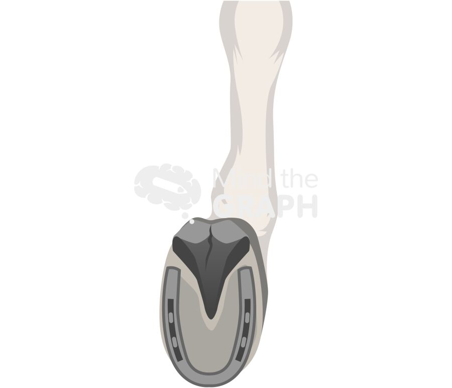 Donkey foot horseshoe right Icons, Symbols, Pictures, and Images