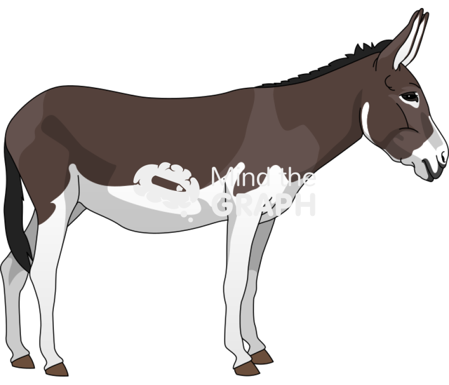 Donkey lateral Icons, Symbols, Pictures, and Images